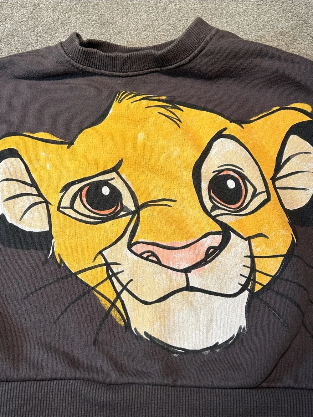 Zara x Disney feat: Lion King